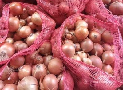 فروش پیاز زرد