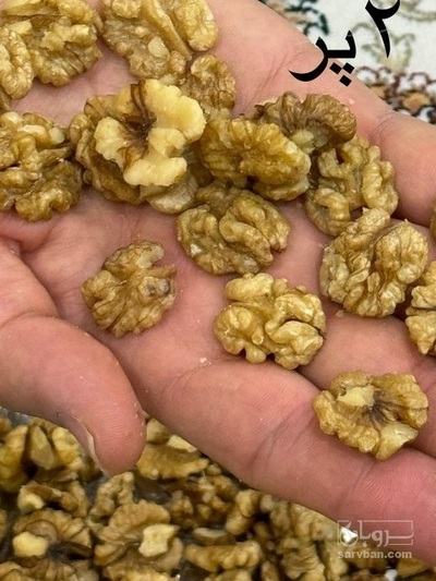 فروش مغز گردو