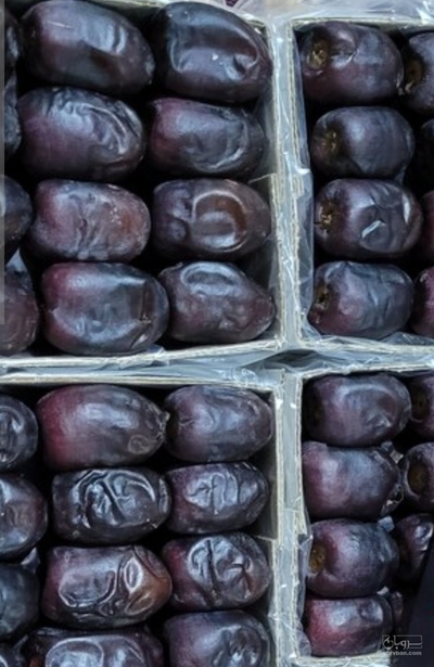 فروش خرما مضافتی