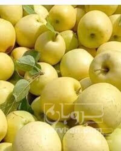 فروش سیب زرد
