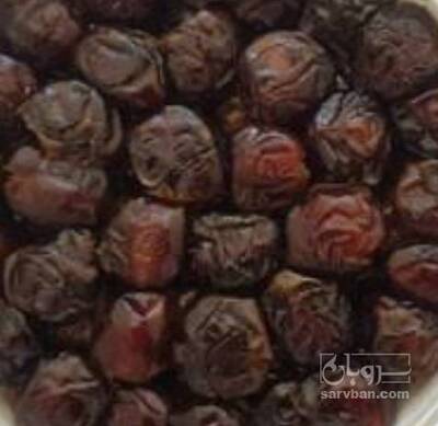 فروش خرما استعمران