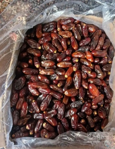 فروش خرما ربی
