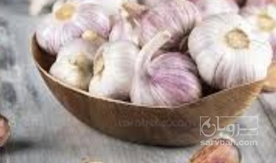 فروش سیر