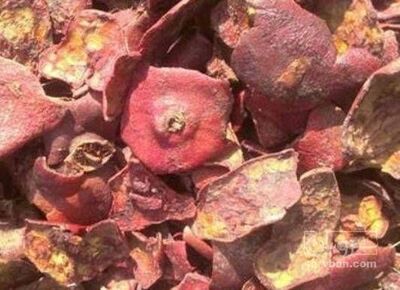 فروش پوست انار