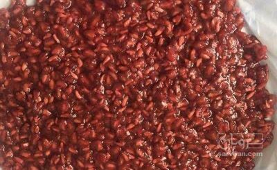 فروش هسته انار