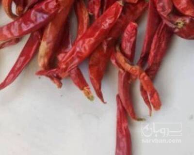 فروش فلفل خشک شاخ بزی