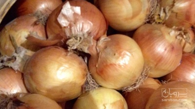 فروش پیاز