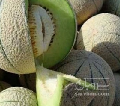 فروش طالبی
