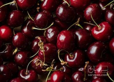 فروش گیلاس تکدانه