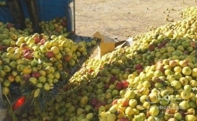 سیب زیر درختی