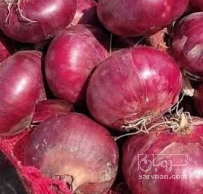 فروش پیاز قرمز