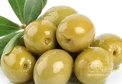 فروش زیتون