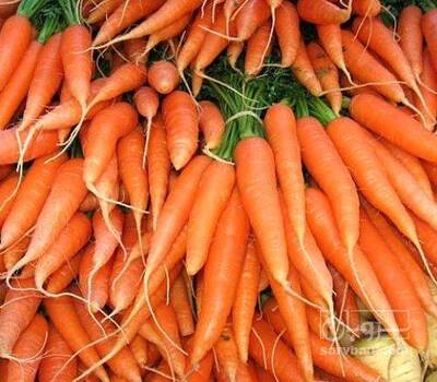 فروش هویج