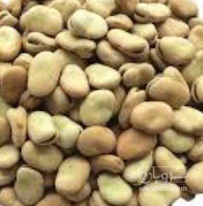 فروش باقلا تازه - باقالی - باقالا
