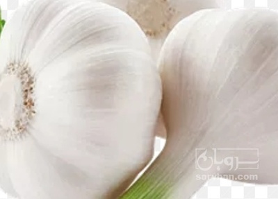 فروش سیر