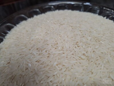فروش برنج هاشمی اعلا