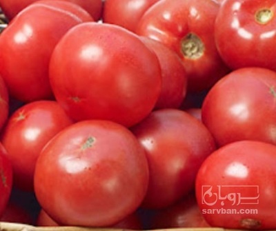 فروش گوجه فرنگی