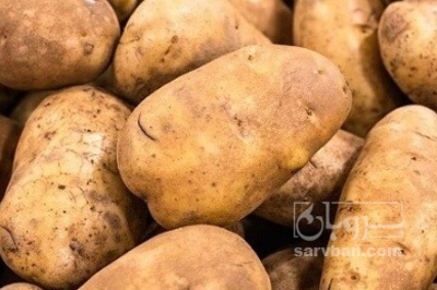 فروش سیب زمینی