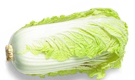 فروش کاهو ایرانی - رومانو