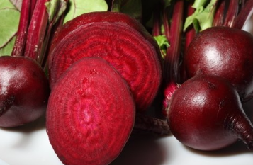 فروش چغندر لبو