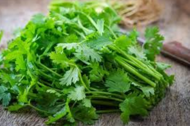 فروش جعفری تازه