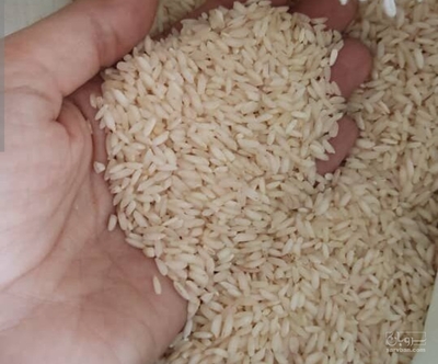 فروش برنج