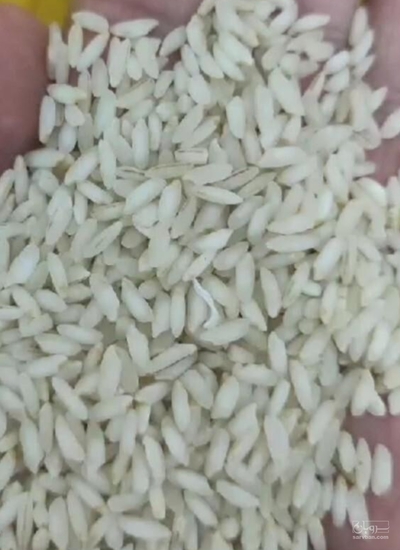 فروش برنج