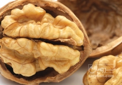 فروش گردو