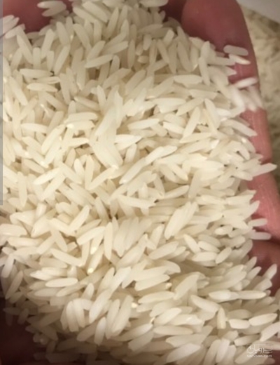 فروش برنج