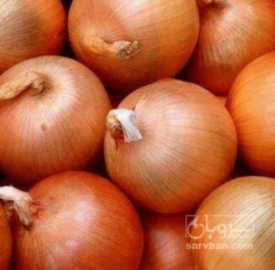 فروش پیاز زرد