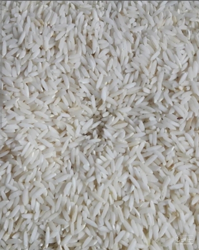 فروش برنج