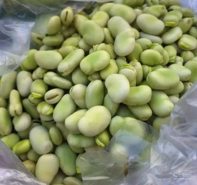 فروش باقلا تازه - باقالی - باقالا