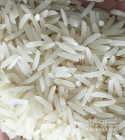 فروش برنج صدری