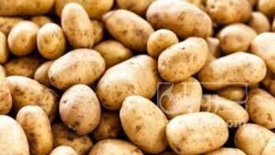 فروش سیب زمینی کلمبا