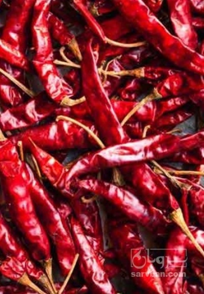 فروش فلفل قرمز تند خشک