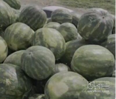 فروش هندوانه