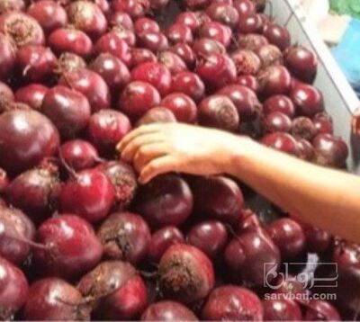 فروش چغندر لبو