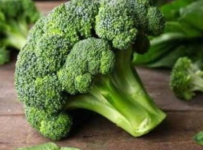 فروش کلم بروکلی
