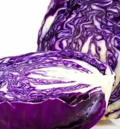 فروش کلم برگی قرمز