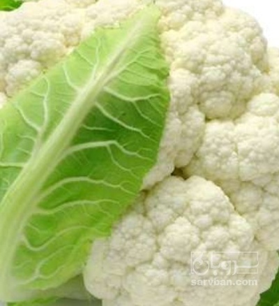 فروش گل کلم