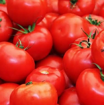 فروش گوجه فرنگی گلخانه ایی