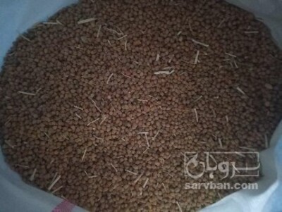 فروش نخودقرمز