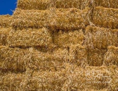 فروش کاه و کلش گندم