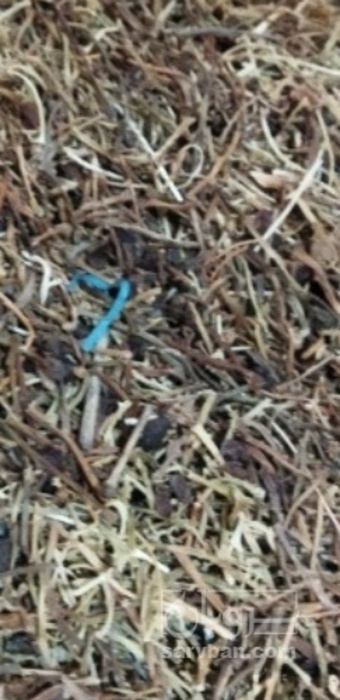 فروش  پوشال انگور