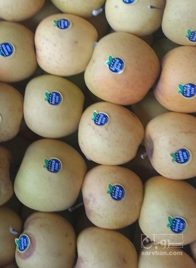 فروش سیب زرد