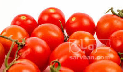 فروش گوجه فرنگی