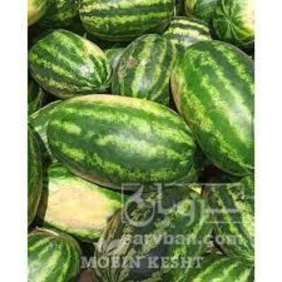 فروش هندوانه