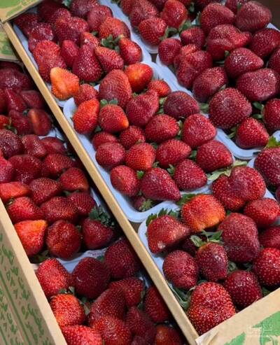 بارفروش و حق العمل کاری  حامد رستمی