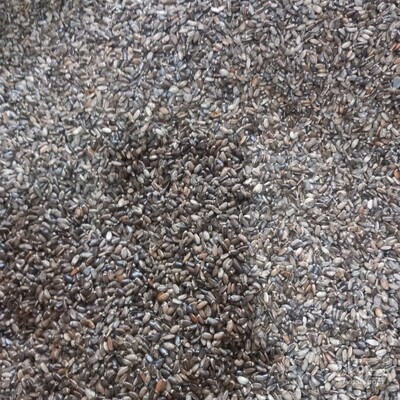 فروش خار مریم