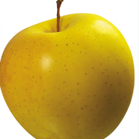 فروش سیب زرد